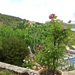 Stella Marina