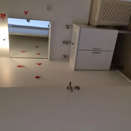 Hotel Stella Marina 2*