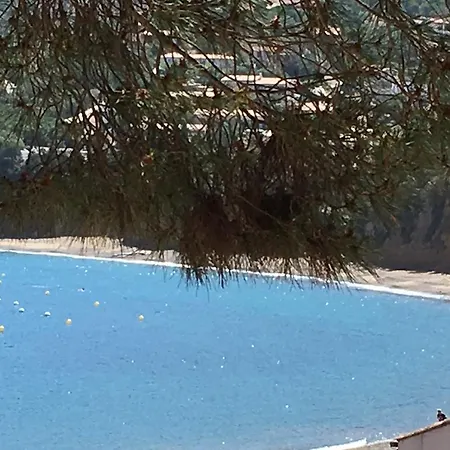 Stella Marina